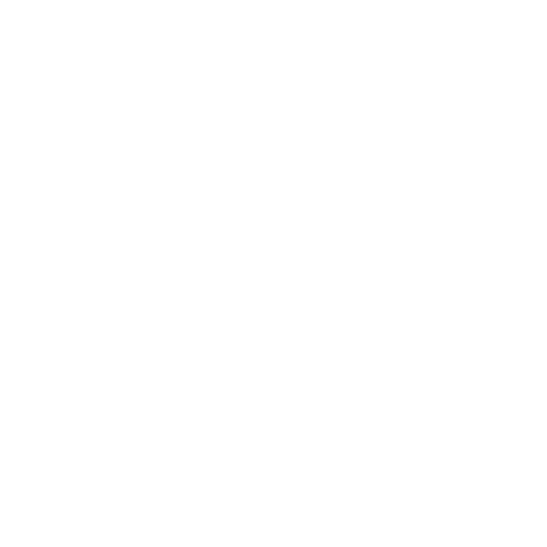 HSMlogo