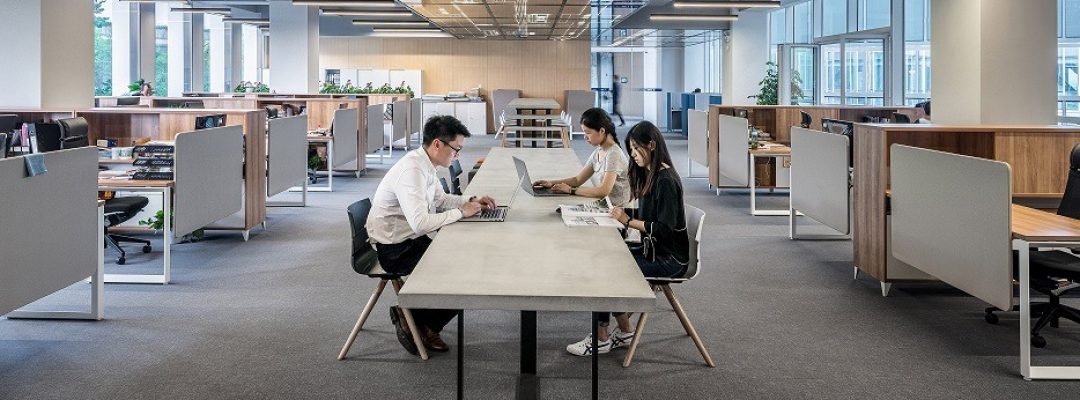 mercado de trabalho no futuro